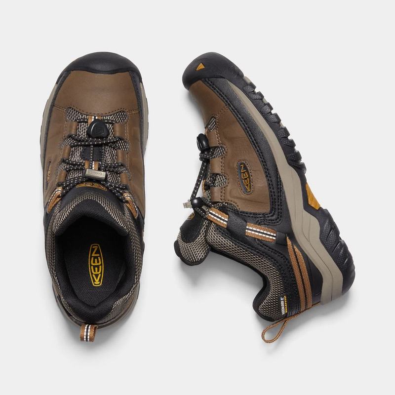 Zapatos Trekking Keen Targhee Waterproof Para Niños Marrom/Negros - Zapatos Keen Mexico (827094-GYB)